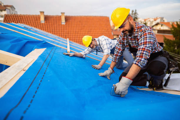 Best Sheet Metal Roofing  in La Homa, TX